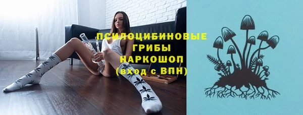 ГАЛЛЮЦИНОГЕННЫЕ ГРИБЫ Белоозёрский
