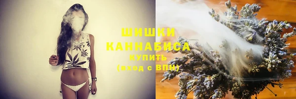 ГАЛЛЮЦИНОГЕННЫЕ ГРИБЫ Белоозёрский