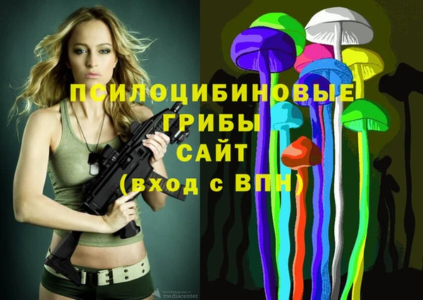 тгк Белокуриха