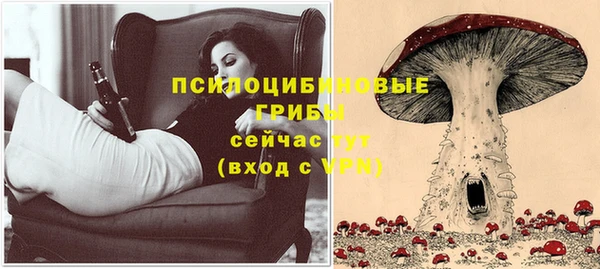 тгк Белокуриха
