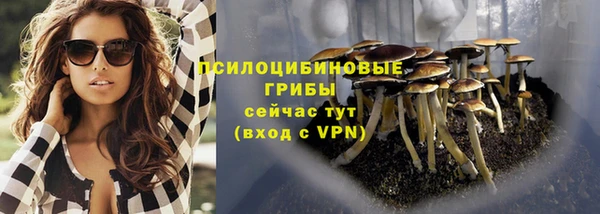 тгк Белокуриха