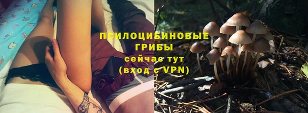 стафф Беломорск