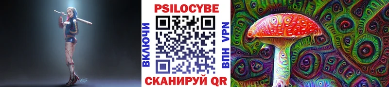 продажа наркотиков  Высоковск  Псилоцибиновые грибы ЛСД 